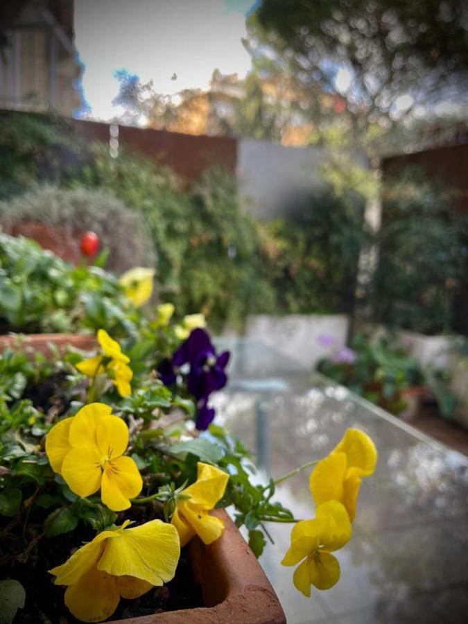 Garden House Rom